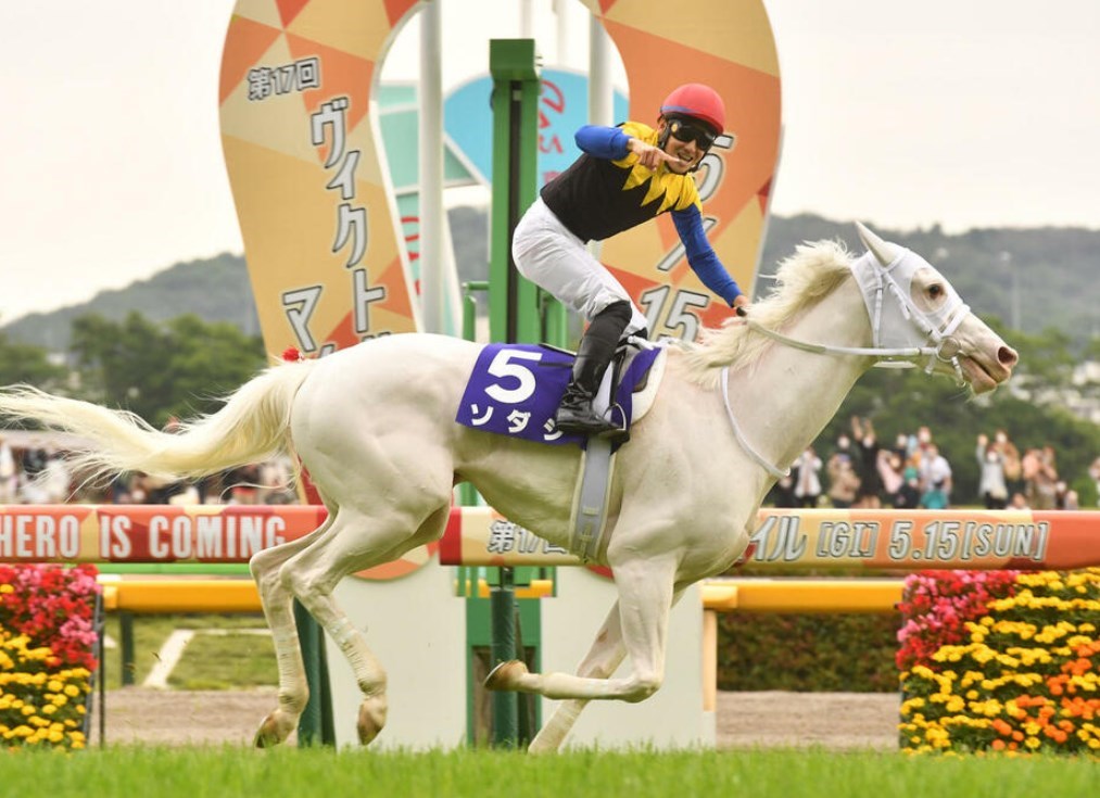 ソダシ 馬券入れ 馬券ケース - その他